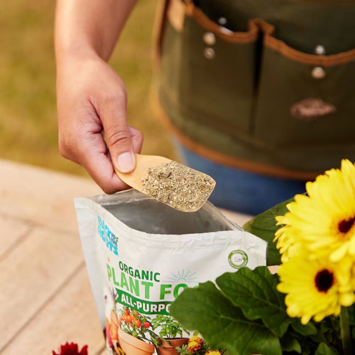 Natural & Organic ALL-PURPOSE Plant Food thumbnail 3
