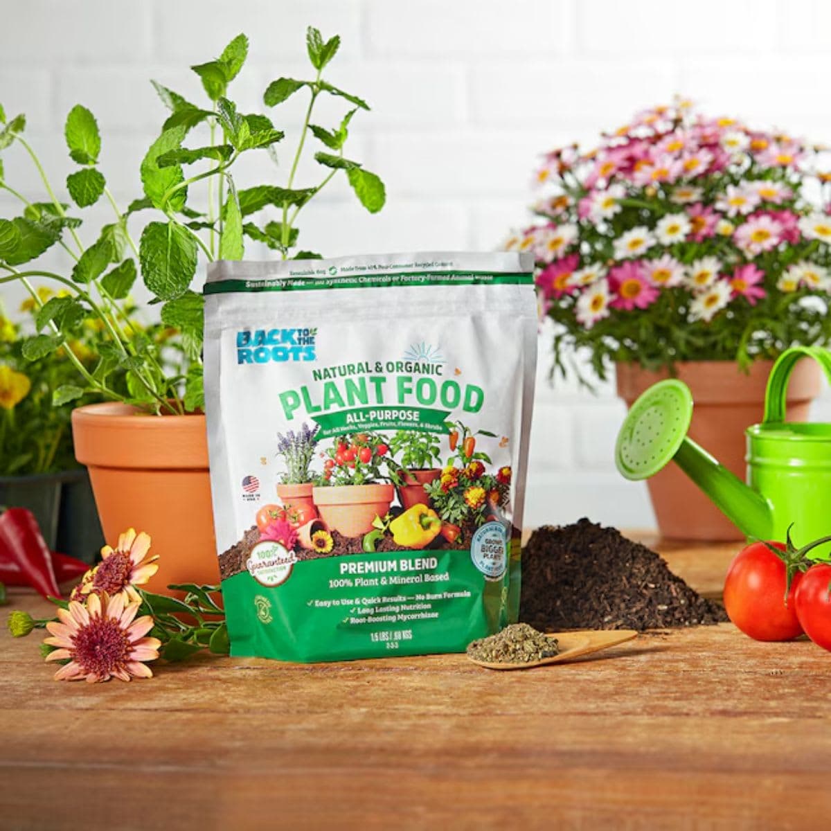 Natural & Organic ALL-PURPOSE Plant Food thumbnail 4