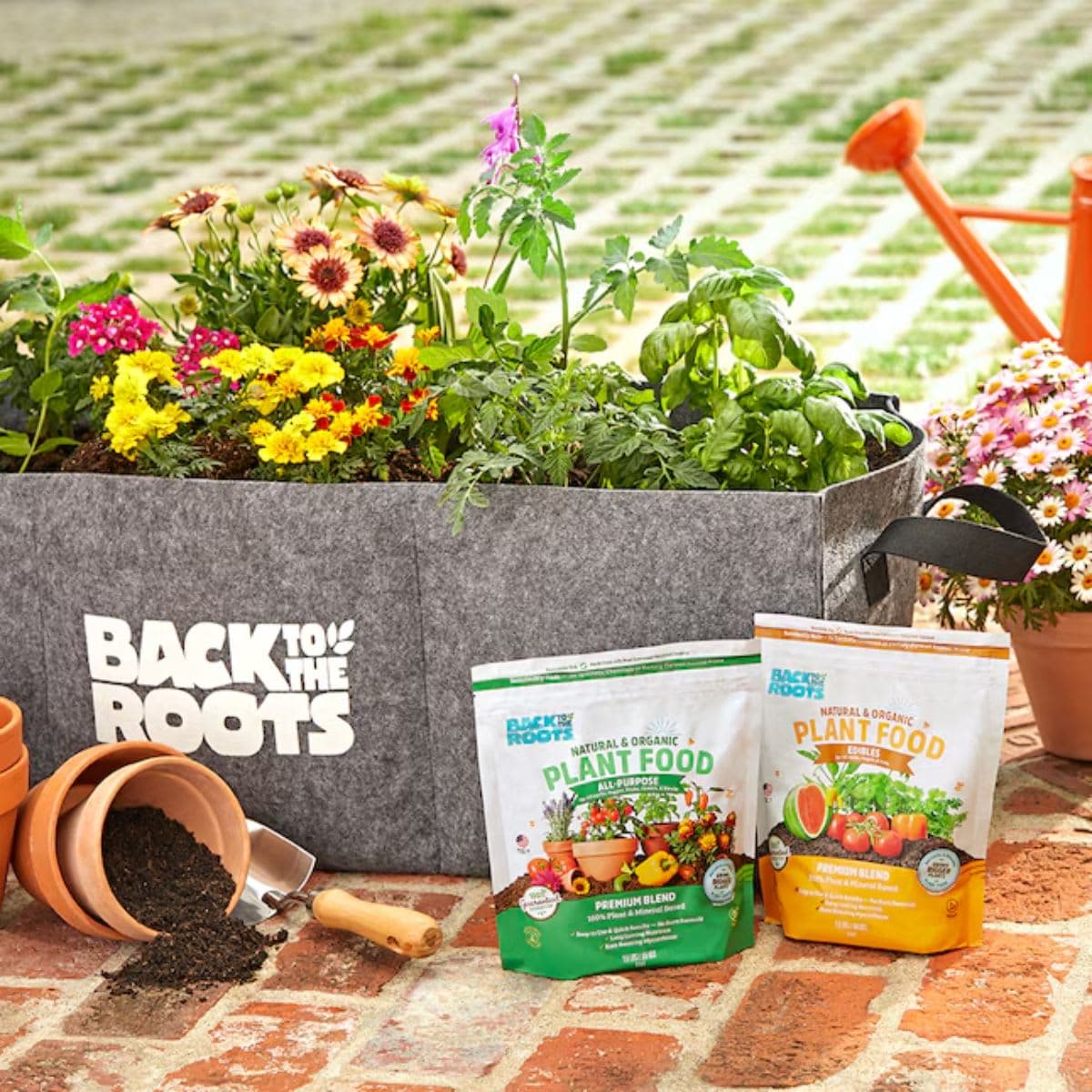 Natural & Organic ALL-PURPOSE Plant Food thumbnail 5