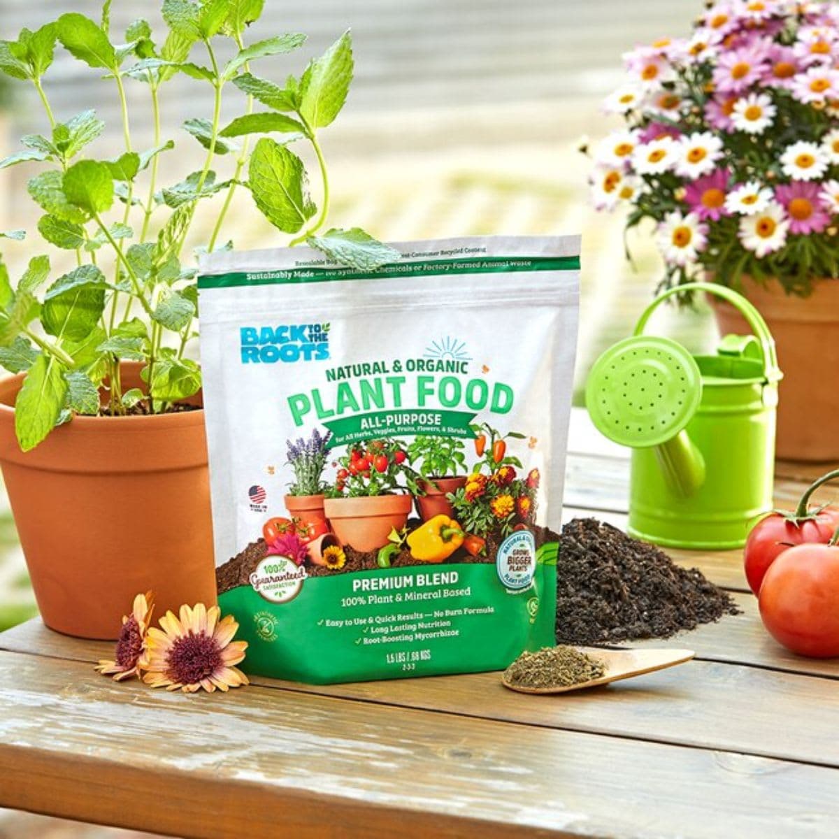 Natural & Organic ALL-PURPOSE Plant Food thumbnail 6