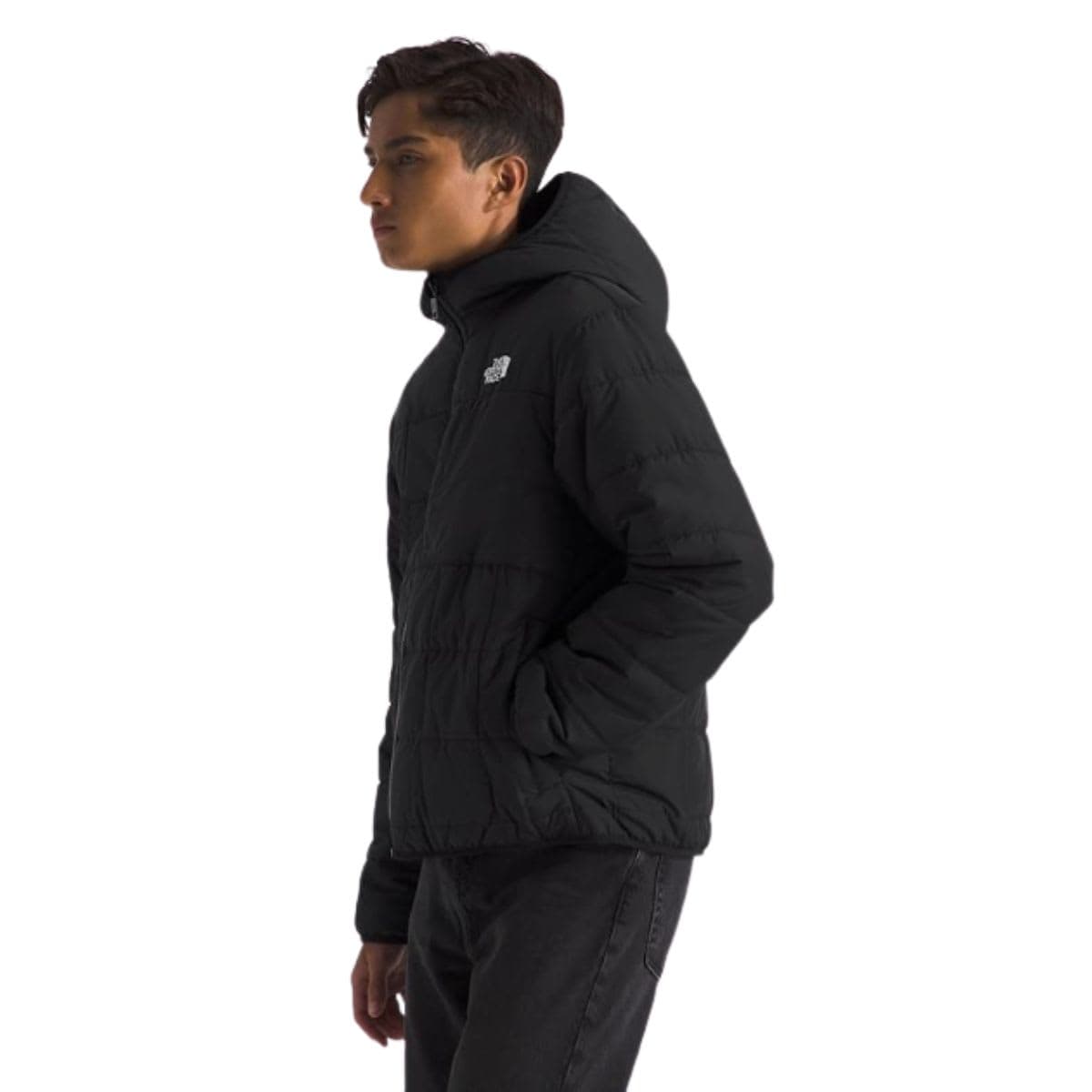 THE NORTH FACE Boys' Reversible Shasta Full Zip Hooded Jacket, TNF Black, Large
