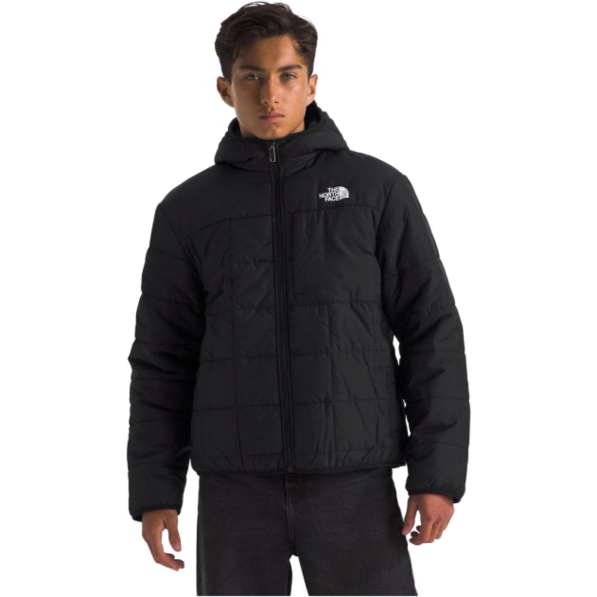 THE NORTH FACE Boys' Reversible Shasta Full Zip Hooded Jacket, TNF Black, Large thumbnail 2
