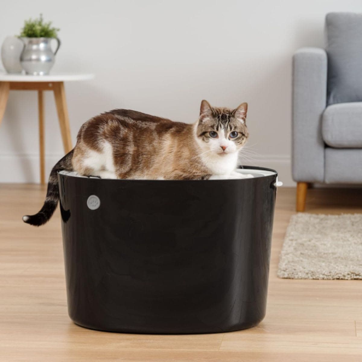 Iris Ohyama, Cat Litter Tray with Grooved Lid/Top Cover, No Odor and Litter Spill, Large Entrance, Scoop Included, for Cat - Cat Litter Box Jump-in PUNT-530 - Black thumbnail 4