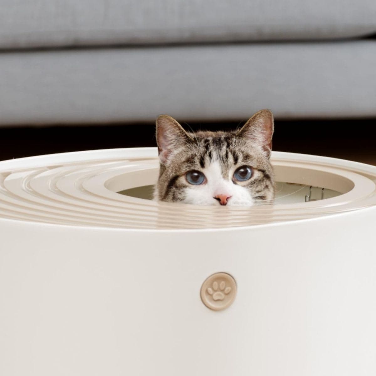 Top Entry Cat Litter Box - Iris White Beige thumbnail 3