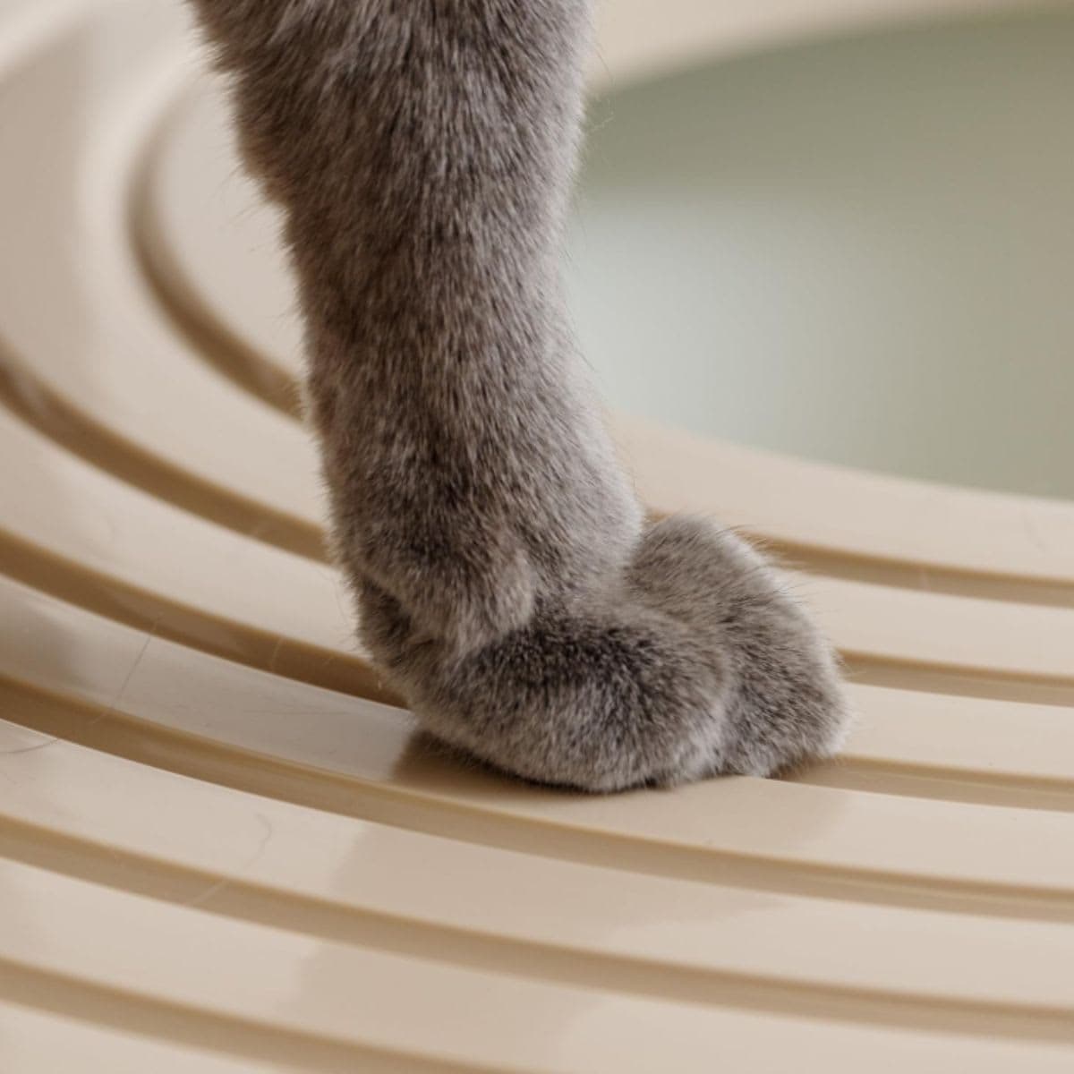 Top Entry Cat Litter Box - Iris White Beige thumbnail 6