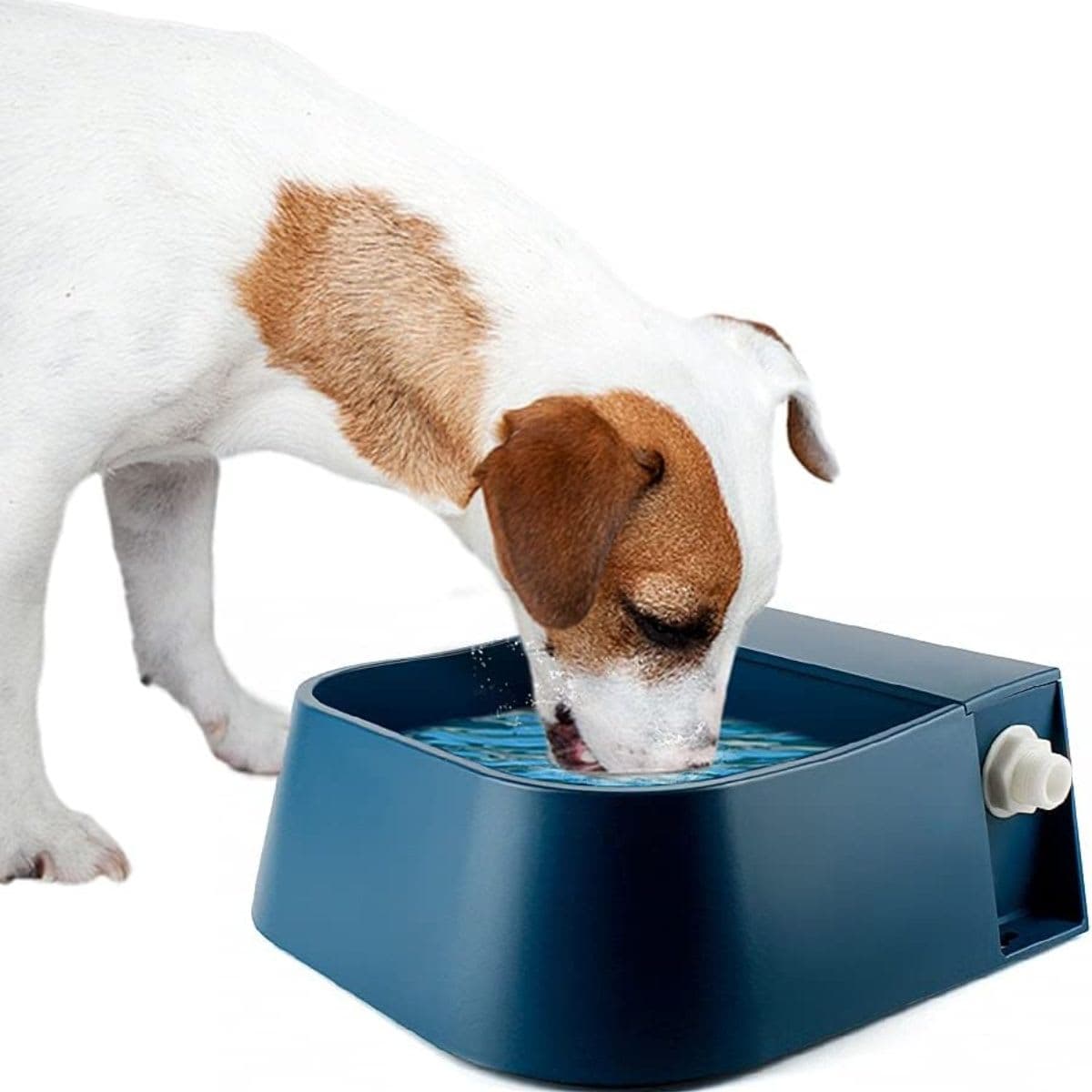 Dog Water Bowl - PETLESO Automatic Filling