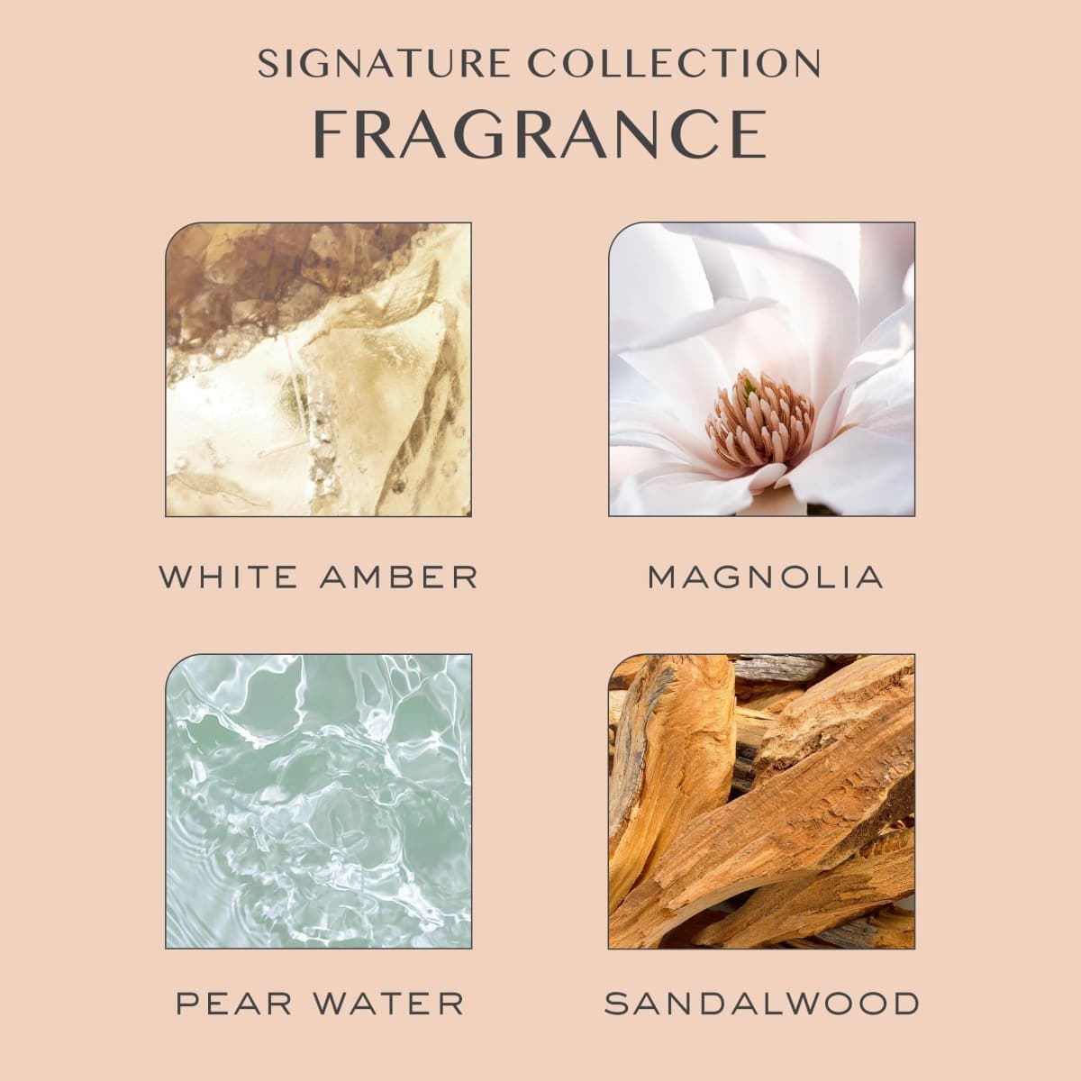 Kristin Ess - New - Sealed | Shampoo & Conditioner thumbnail 4