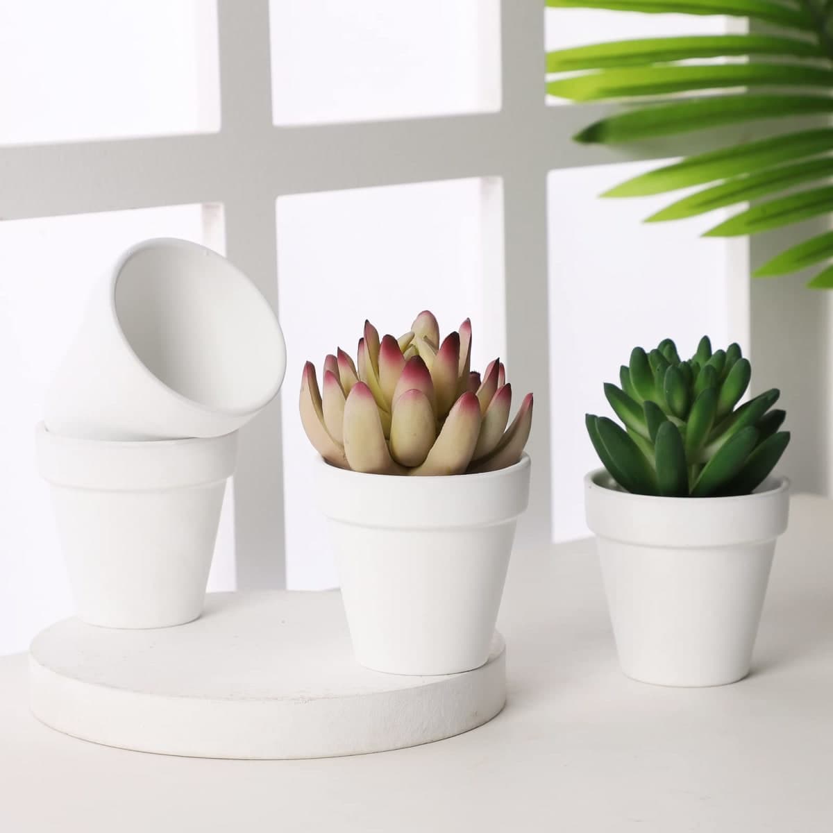 Yishang 2.5 inch White Terracotta Pots with Drainage Holes,Small Mini Clay Ceramic Pottery Planter,Cactus Flower Terra Cotta Pots,Succulents Nursery Pots for Indoor/Outdoor Plants,Crafts-12 Pack thumbnail 3