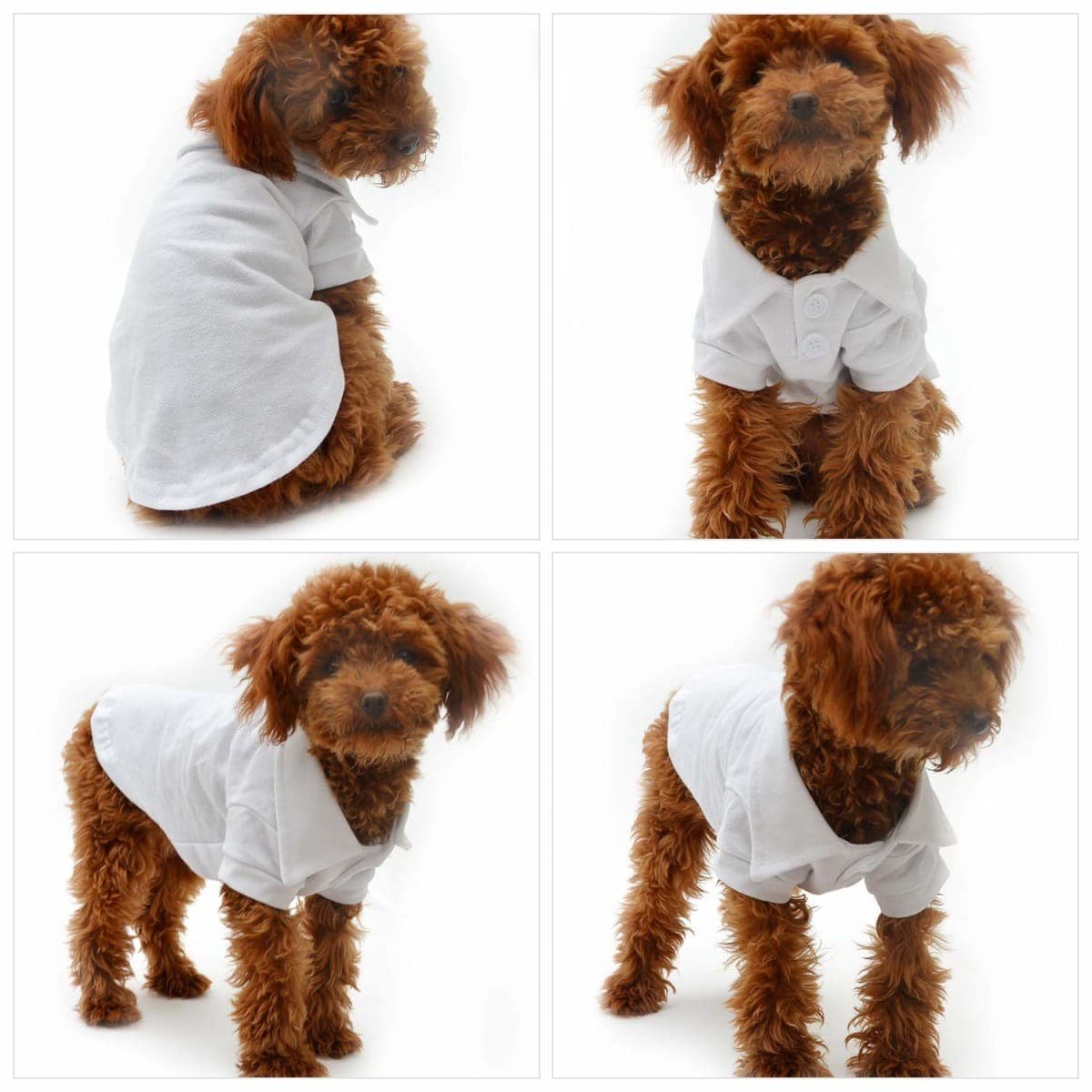 lovelonglong Basic Dog Polo Shirts Premium Cotton, Polo T-Shirts for Large Medium Small Dogs with a Two-Button Collar Blank Color White L thumbnail 4