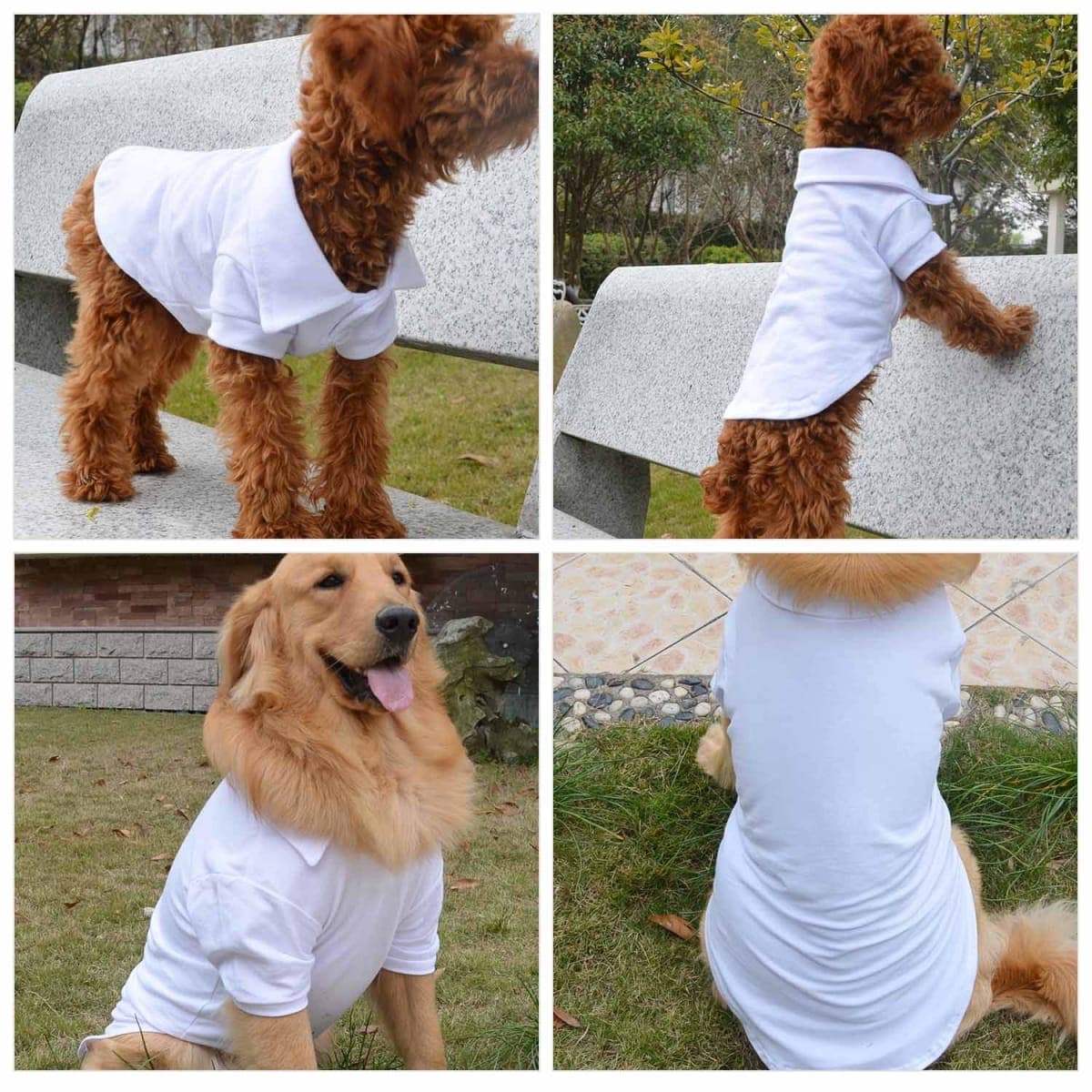lovelonglong Basic Dog Polo Shirts Premium Cotton, Polo T-Shirts for Large Medium Small Dogs with a Two-Button Collar Blank Color White L thumbnail 5