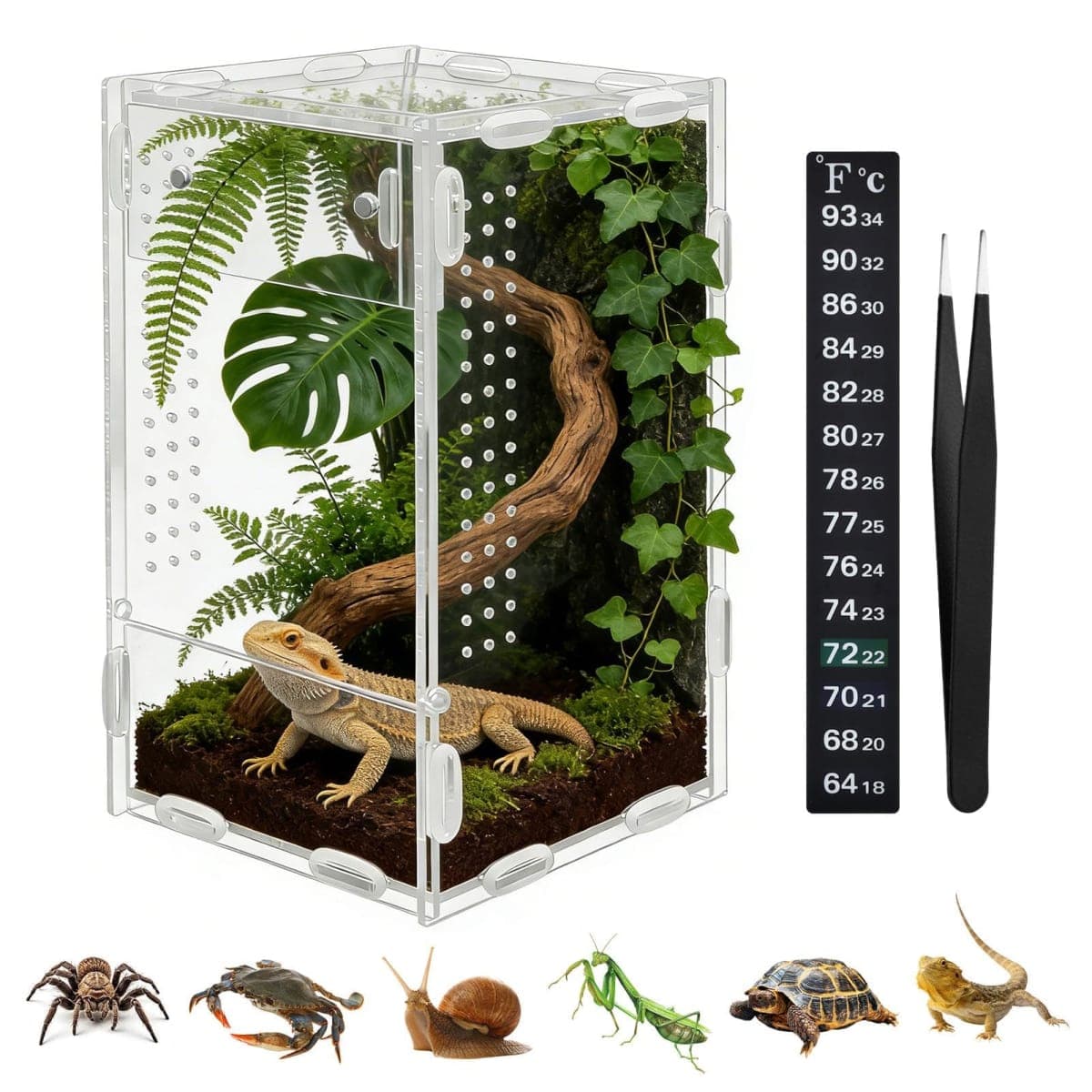 Jumping Spider Enclosure, 4x4x8 Inch Acrylic Reptile Terrarium Enclosure, with Magnet Front Opening Door, for Snail, Spiders, Mantis, Lizard, and Small Reptiles(Tweezer & Temp Sticker Included) thumbnail 3