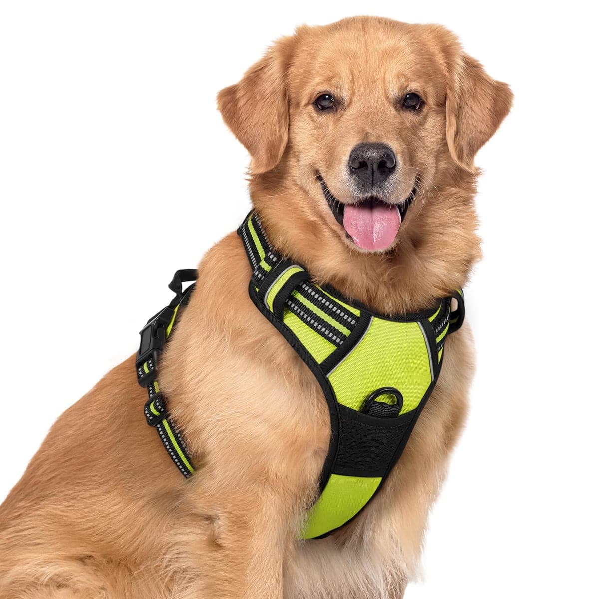 rabbitgoo Dog Harness, No-Pull Pet Harness with 2 Leash Clips, Adjustable Soft Padded Dog Vest, Reflective No-Choke Pet Oxford Vest with Easy Control Handle for Large Dogs, Wild Lime, XL — image 1