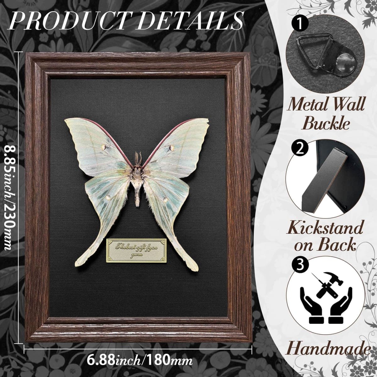 Real Butterfly Taxidermy Framed Handmade, 6.9'' x 9'' Butterfly Shadow Box Wooden Framed for Gothic Home Decor Taxidermy Specimen Display for Wall Art Oddity Tabletop thumbnail 3