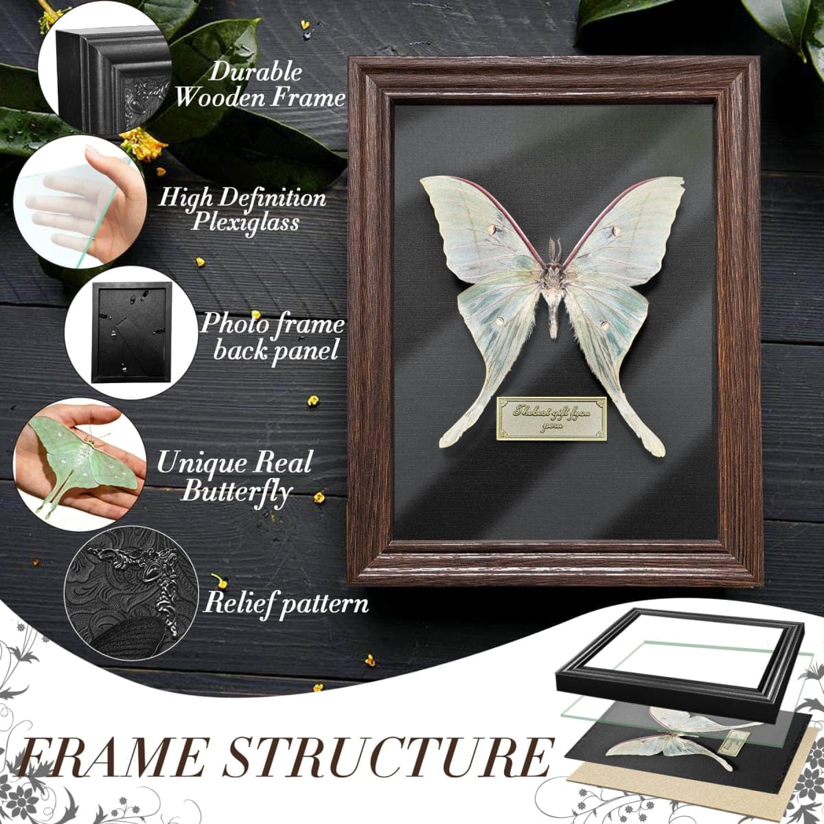 Real Butterfly Taxidermy Framed Handmade, 6.9'' x 9'' Butterfly Shadow Box Wooden Framed for Gothic Home Decor Taxidermy Specimen Display for Wall Art Oddity Tabletop thumbnail 4