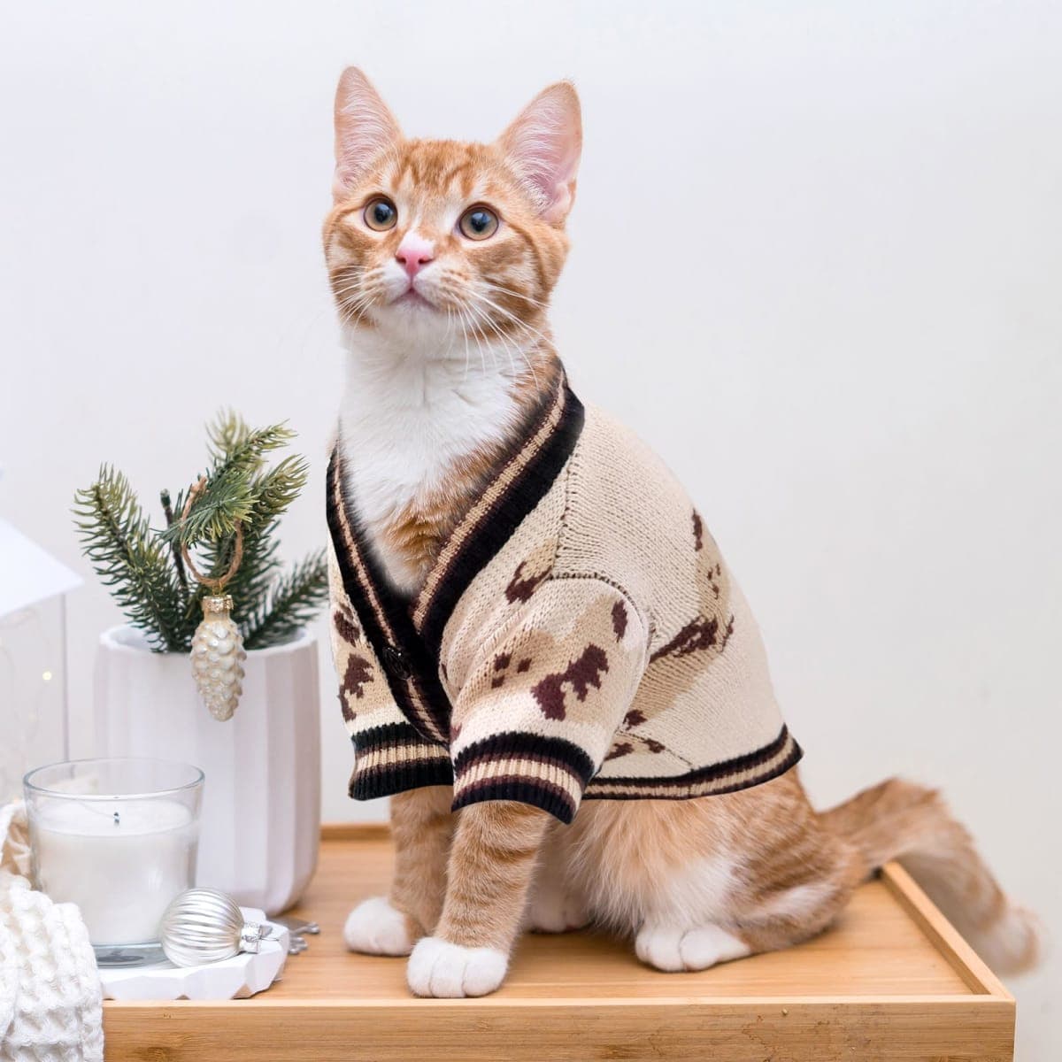 ABRRLO Small Dog Sweaters Cute Bear Dog Cardigans Clothes for Small Medium Dogs Boy Girl Puppy Cat Knitting Cardigan Outfits Dogs Winter Coats Warm Pet Doggy Clothes Soft Knitwear Apparel (Beige,XS) thumbnail 2