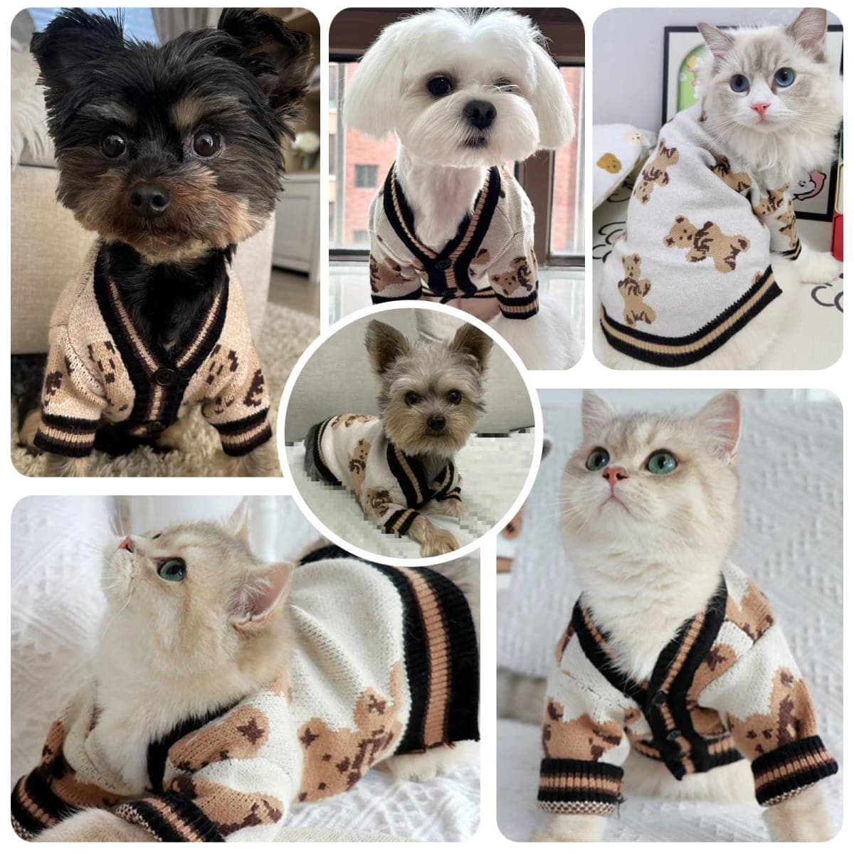 ABRRLO Small Dog Sweaters Cute Bear Dog Cardigans Clothes for Small Medium Dogs Boy Girl Puppy Cat Knitting Cardigan Outfits Dogs Winter Coats Warm Pet Doggy Clothes Soft Knitwear Apparel (Beige,XS) thumbnail 3