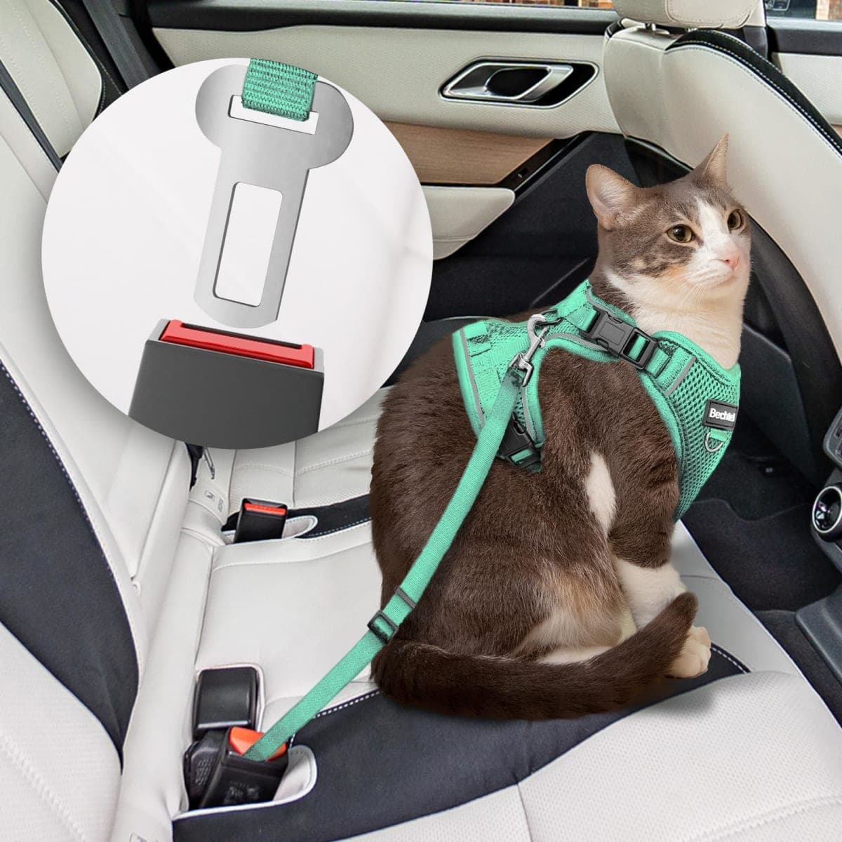 Kitten Harness and Leash Seat, The Upgrade Can be Adjusted in Four Directions and Breathable Cat Harness for Anti Escape that can be Fitted and Positioned, Reflective Strips Harness, Green,XXS thumbnail 2