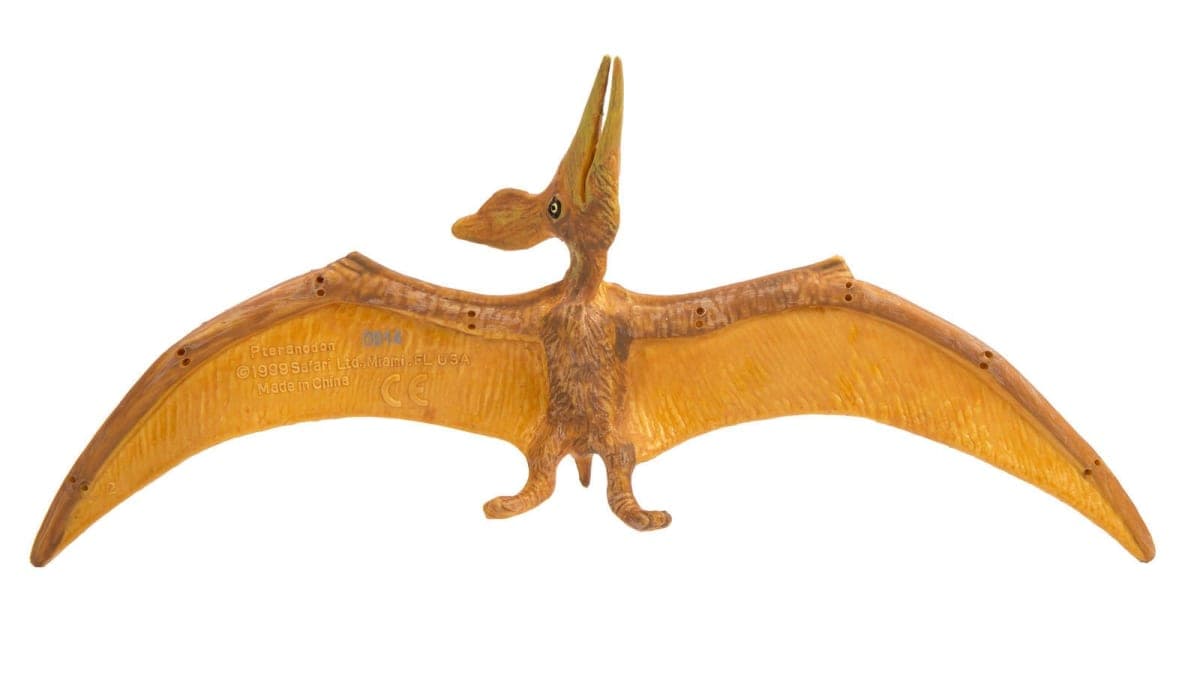 Safari Ltd Wild Safari Pteranodon thumbnail 2