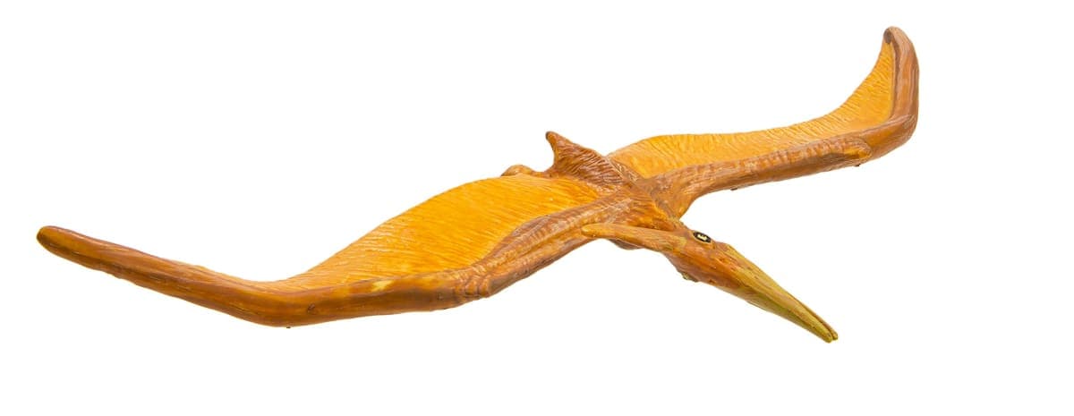 Safari Ltd Wild Safari Pteranodon thumbnail 4