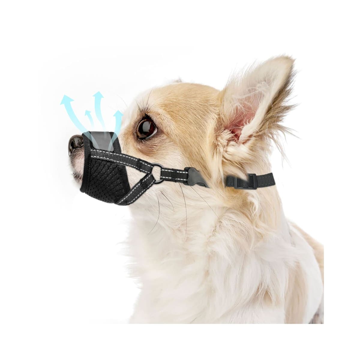 Dog Muzzle for Small Dogs — image 1