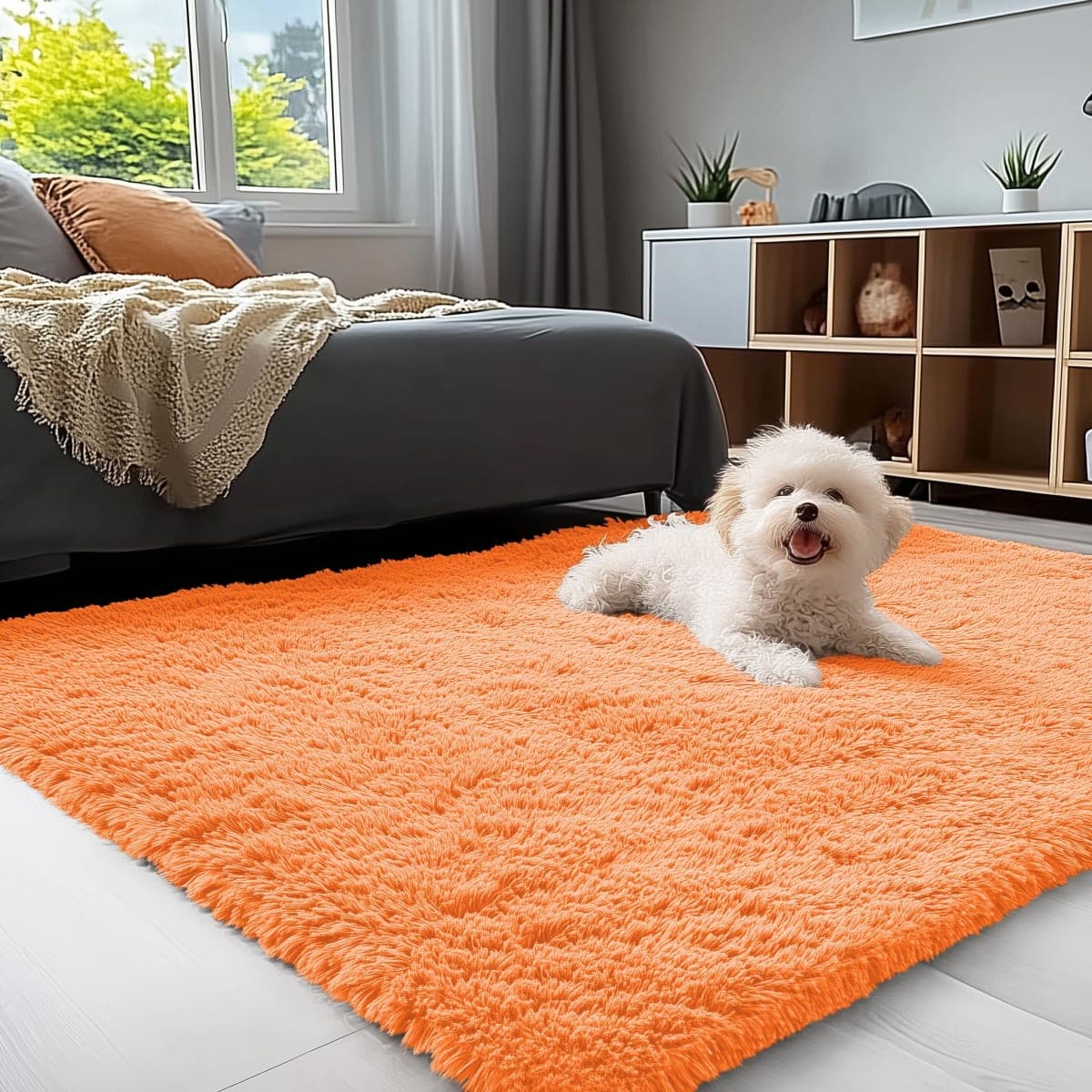 OLANLY - New / Open Box | Rugs