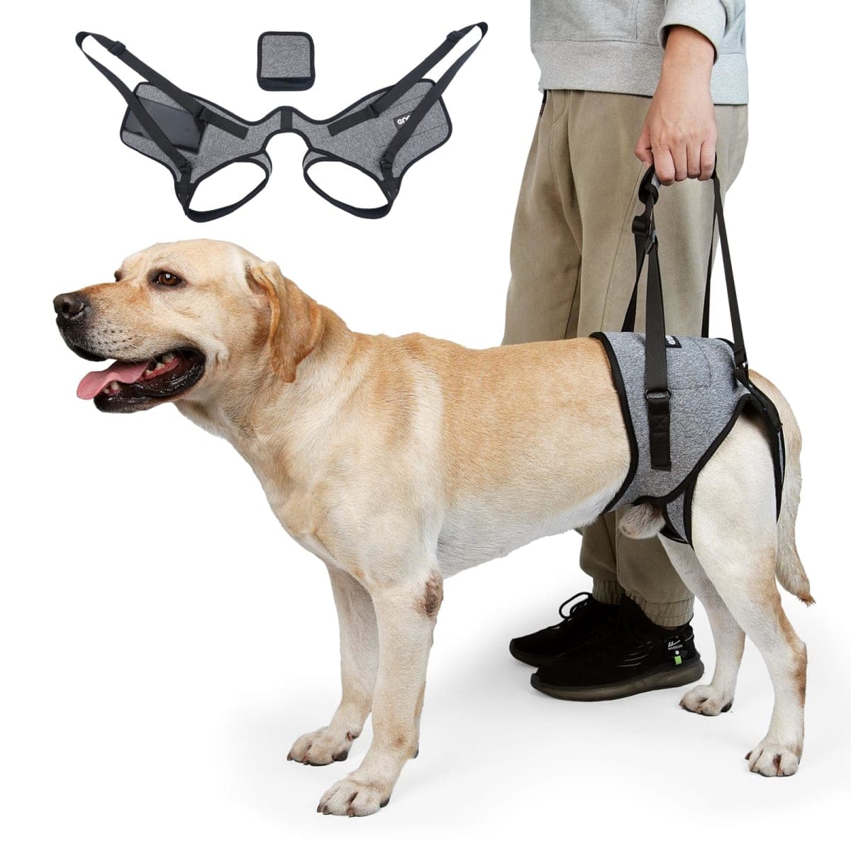 CNEO Dog Lift Harness, Dog Sling for Medium Large Dogs, Adjustable Dog Support Harness for Back Legs, Comfy Design Pet Harness with Padded for Elderly, Injured, Arthritic, Senior, Disabled Dogs