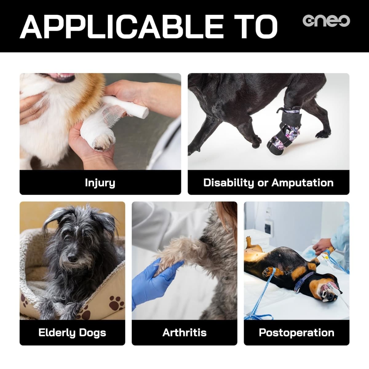 CNEO Dog Lift Harness, Dog Sling for Medium Large Dogs, Adjustable Dog Support Harness for Back Legs, Comfy Design Pet Harness with Padded for Elderly, Injured, Arthritic, Senior, Disabled Dogs thumbnail 4