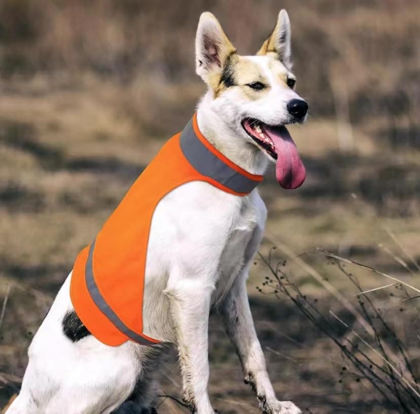 Dog Raincoat, DQGHQME Dog Rain Jacket,Coat Reflective Orange Safety Hunting Dog Vest, 100% Waterproof Dog Rain Coats,Jacket,Poncho,Suit for Small,Medium,Large Breed Dogs. Impermeable Chien.