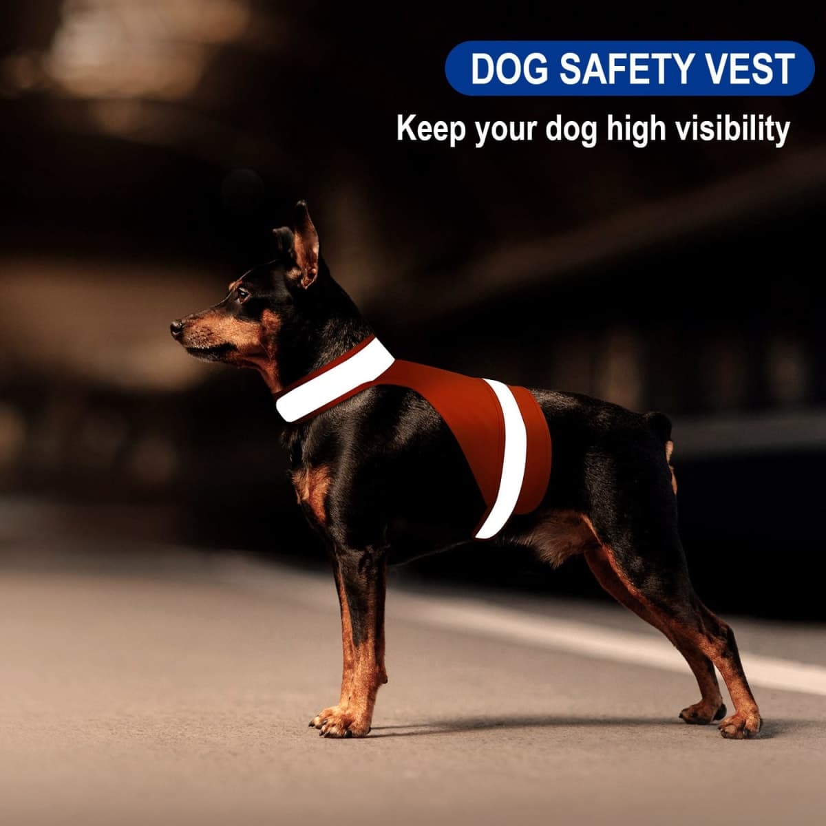 Dog Raincoat, DQGHQME Dog Rain Jacket,Coat Reflective Orange Safety Hunting Dog Vest, 100% Waterproof Dog Rain Coats,Jacket,Poncho,Suit for Small,Medium,Large Breed Dogs. Impermeable Chien. thumbnail 3