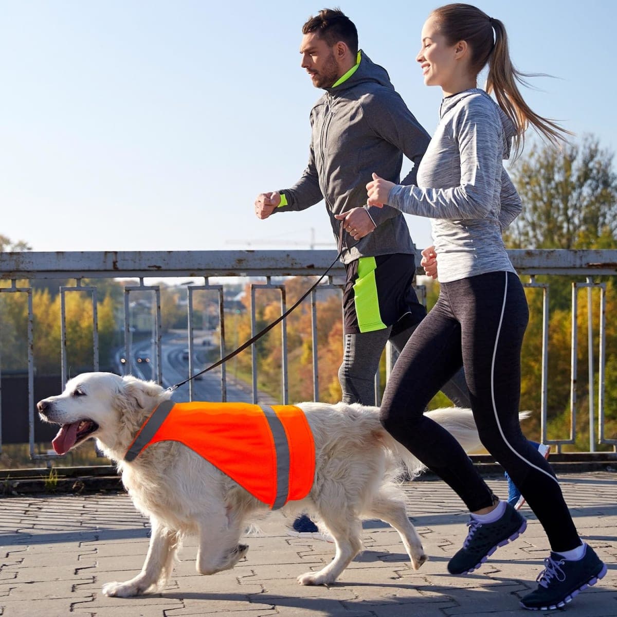 Dog Raincoat, DQGHQME Dog Rain Jacket,Coat Reflective Orange Safety Hunting Dog Vest, 100% Waterproof Dog Rain Coats,Jacket,Poncho,Suit for Small,Medium,Large Breed Dogs. Impermeable Chien. thumbnail 5