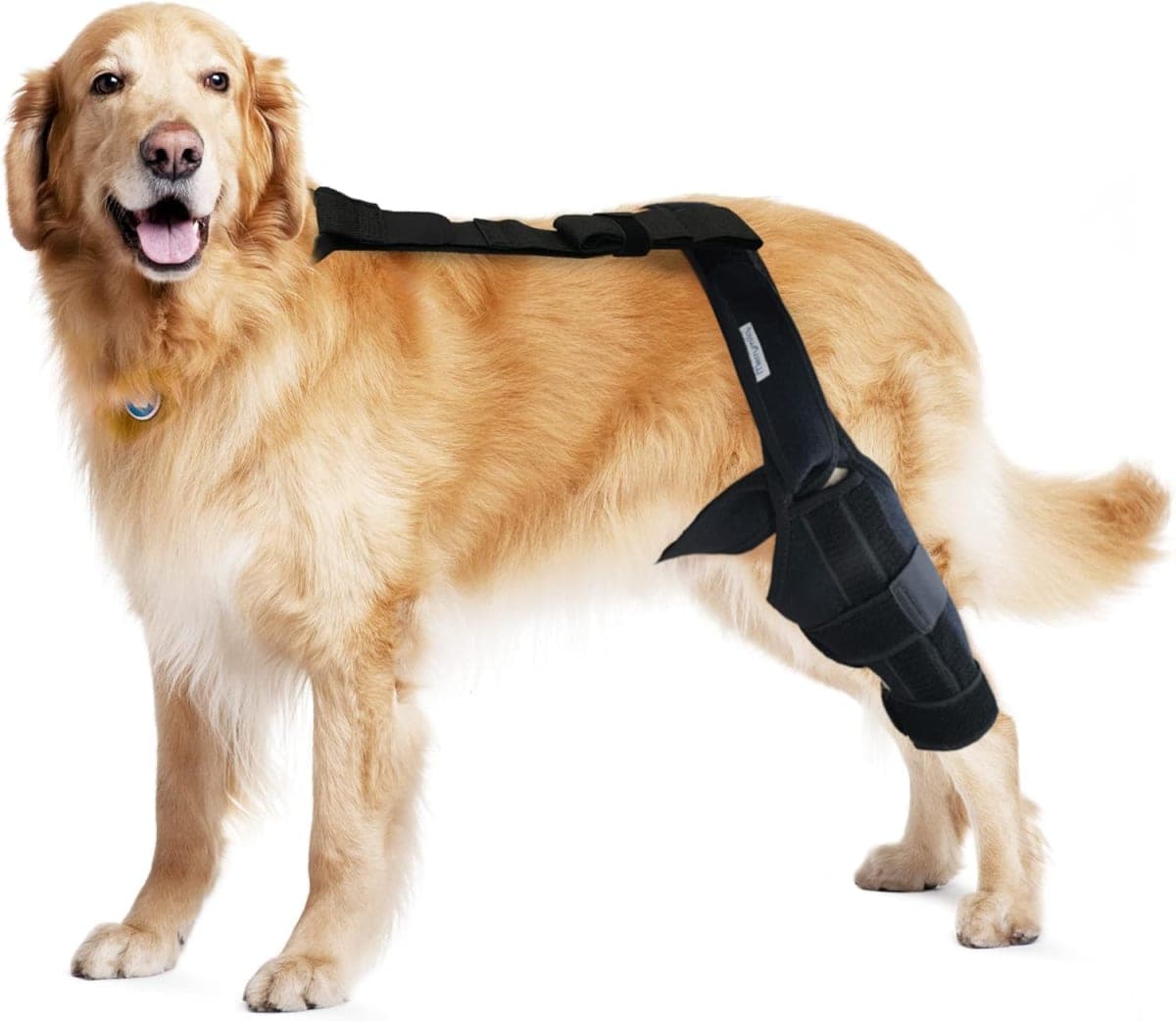 MerryMilo Dog Knee Brace for Torn ACL Hind Leg – Adjustable Canine ACL/CCL & Cruciate Ligament Support, Arthritis Pain Relief, Durable Stabilizer Wrap, Black, Large