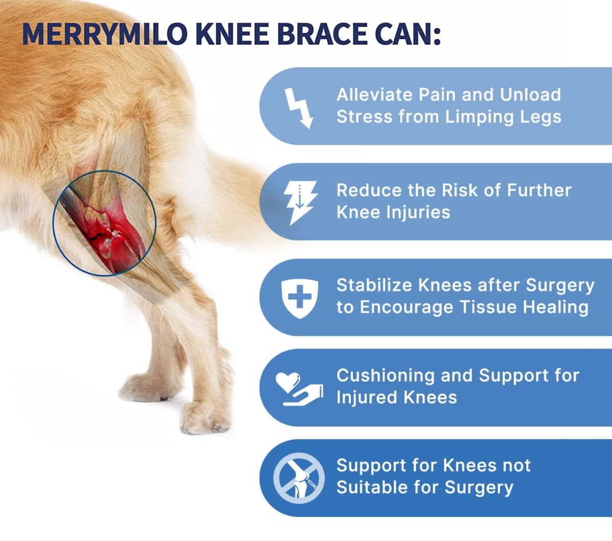 MerryMilo Dog Knee Brace for Torn ACL Hind Leg – Adjustable Canine ACL/CCL & Cruciate Ligament Support, Arthritis Pain Relief, Durable Stabilizer Wrap, Black, Large thumbnail 2