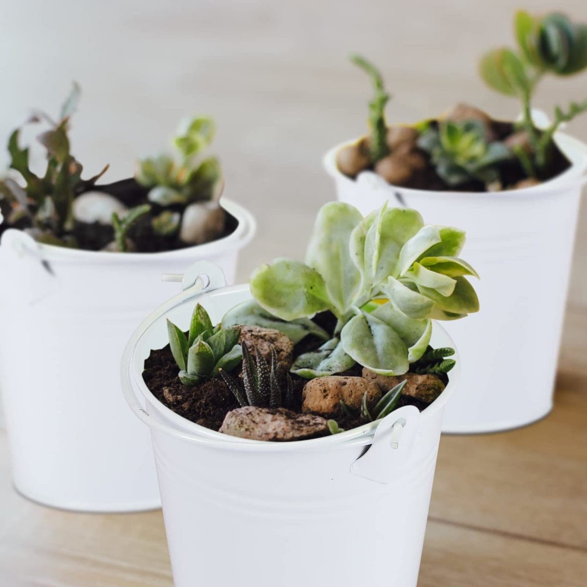 Didaey Mini Metal Buckets with Handles Galvanized Buckets 3.15 Inch Mini Container Pails for Metal Tin Plant Holder Pail for Wedding Decoration Party Favor(White,28 Pcs) thumbnail 3