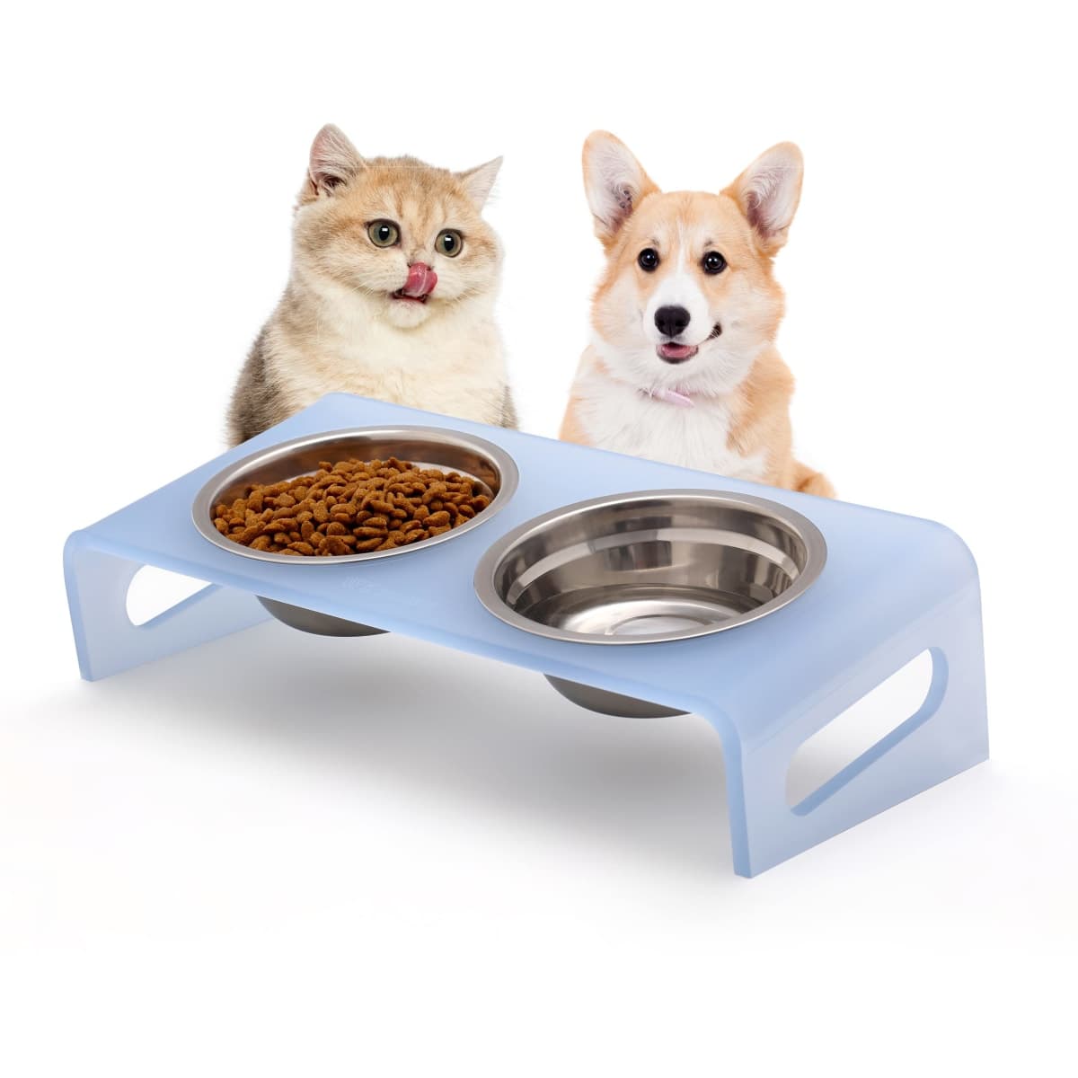 Tilted Raised Elevated Food and Water Bowls Stand for Cat or Small Dogs - Puppy's Clear Acrylic Stainless Steel Dishes Holder for Boy or Girl Pet,Modern,Durable and Easy to Clean by WBhonghui (Blue) — image 1