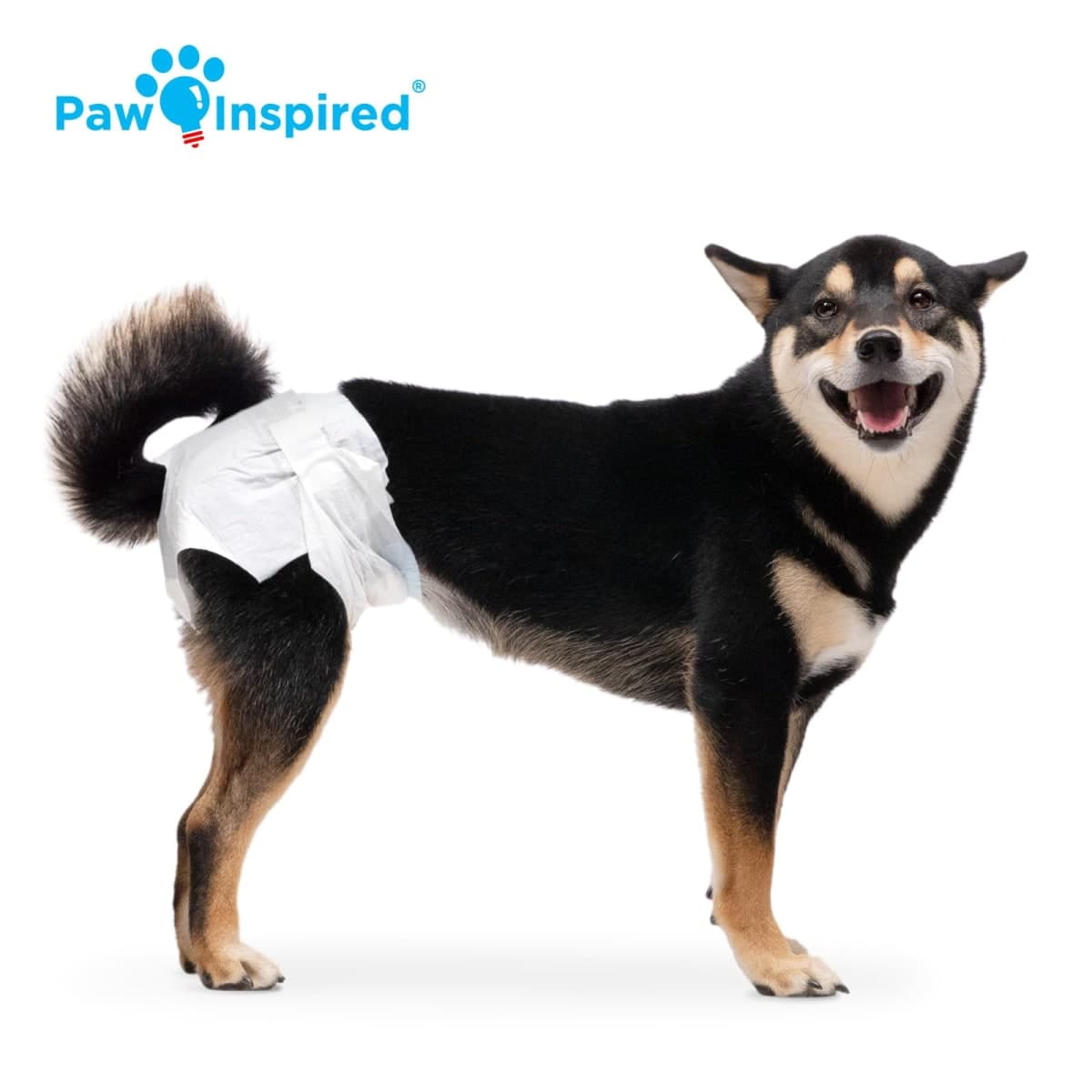 Paw Inspired Disposable Dog Diapers | Female Dog Diapers Ultra Protection | Diapers for Dogs in Heat, Excitable Urination, or Incontinence (Medium (32 Count)) thumbnail 4