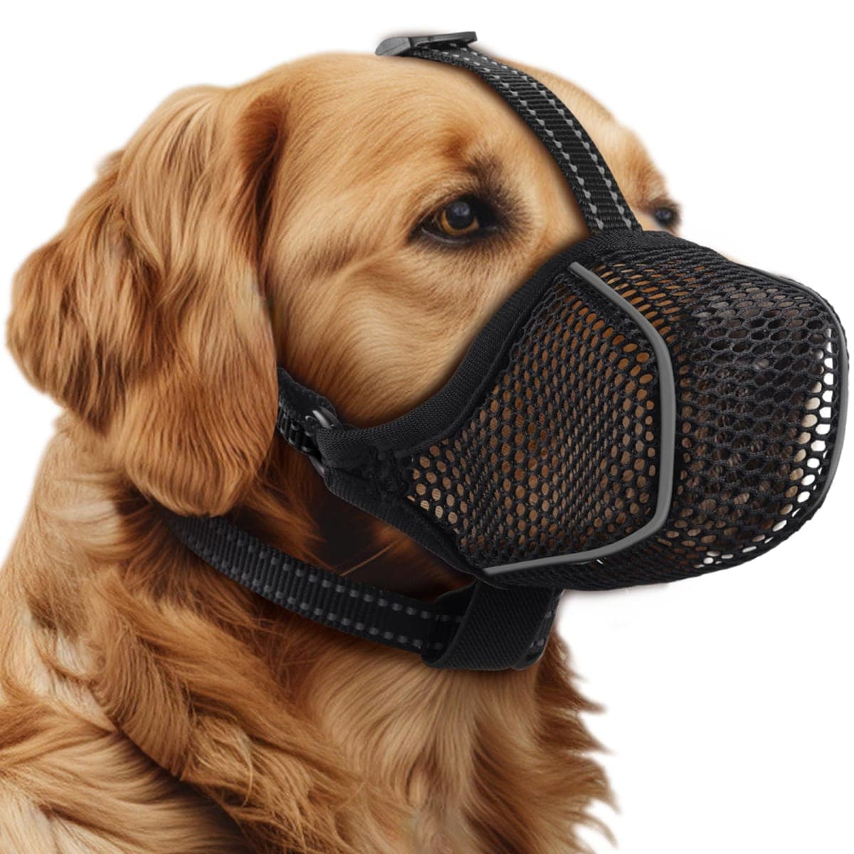 BONTHEE Dog Muzzle,Mesh Soft Muzzle for Small Medium Large Sized Dogs, Breathable Reflective Adjustable Puppy Muzzles with Collar for Scavenging Grooming Biting Chewing,Allows Panting and Drinking — image 1