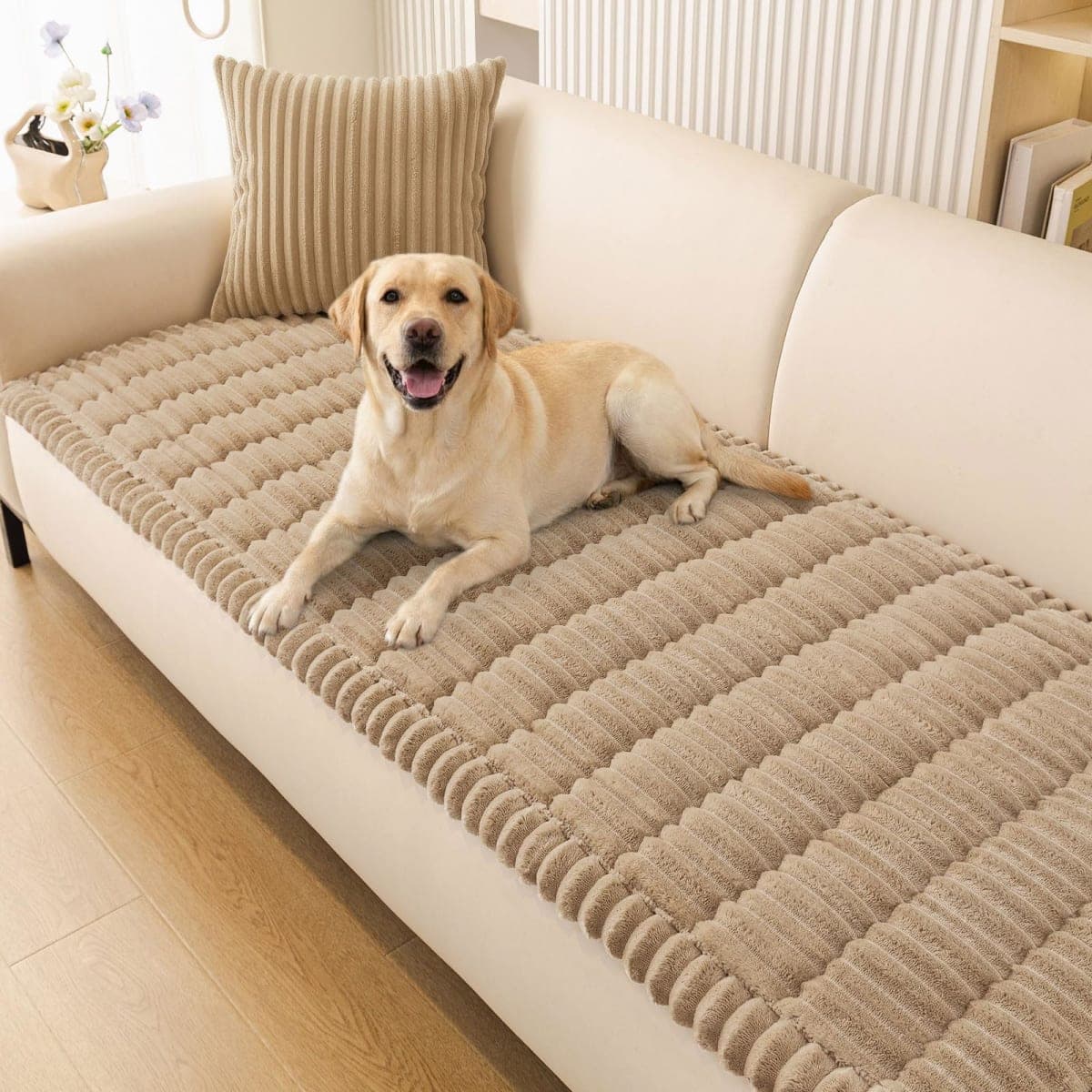 smiry - Good | Dog Supplies