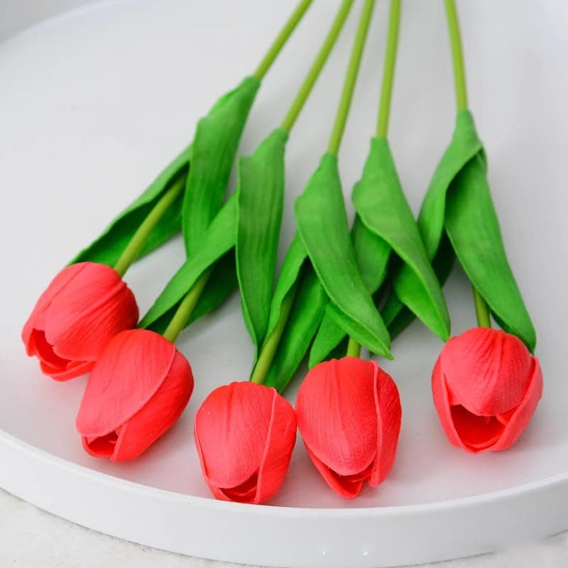 Generic - New - Open Box | Decor