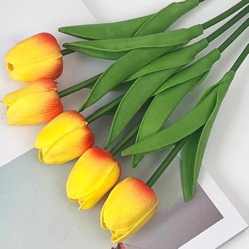 Generic - New - Open Box | Decor