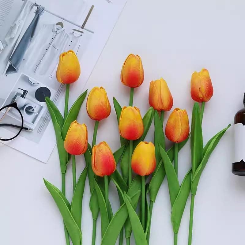 Generic - New - Open Box | Decor thumbnail 3
