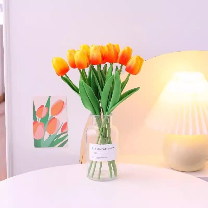 Generic - New - Open Box | Decor thumbnail 4
