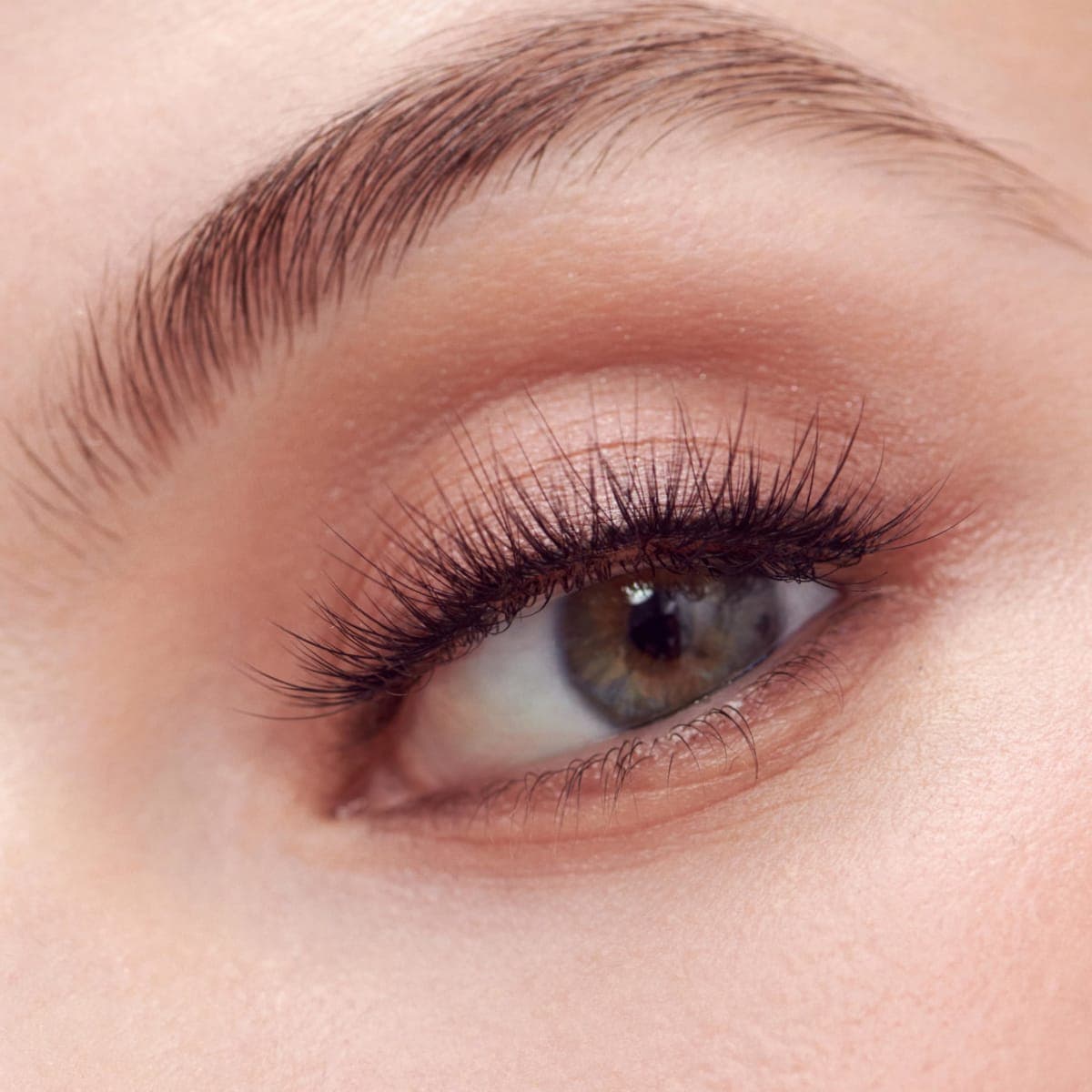 KISS The New Natural False Eyelashes Multipack NNM01, Cruelty Free, Vegan, Contact Lens Friendly, Easy to Apply, Includes 4 Pairs of Reusable Strip Lashes thumbnail 3