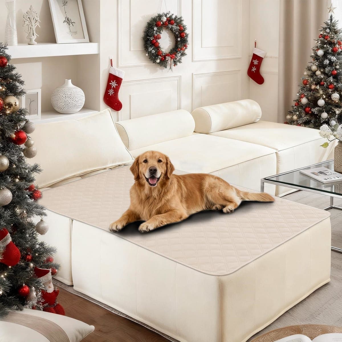 CYCMACO Waterproof Dog Blanket, Non-Slip Soft Pet Bed Cover, Couch Cover for Dogs Washable, Protects Sofa, Furniture, Crate, Car, Tear Resistant Leakproof Pet Blanket (30x70 Inch, Beige) — image 1