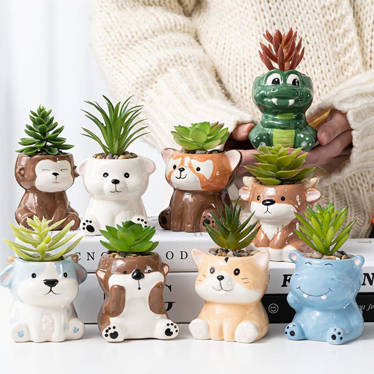 DIYOMR Cute Penguin Planter, Mini Ceramic Animal Shaped Succulent Flower Pot, Indoor Air Plants Holder, Small thumbnail 5
