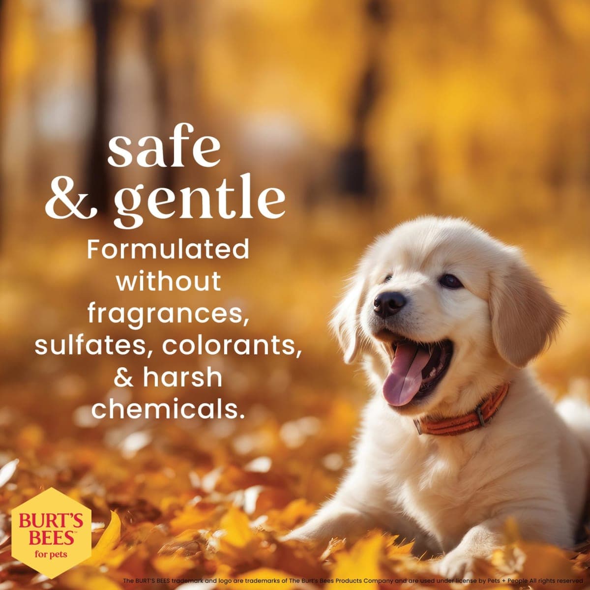 BURT'S BEES FOR PETS - Sealed | Pet Cleaning Supplies thumbnail 5
