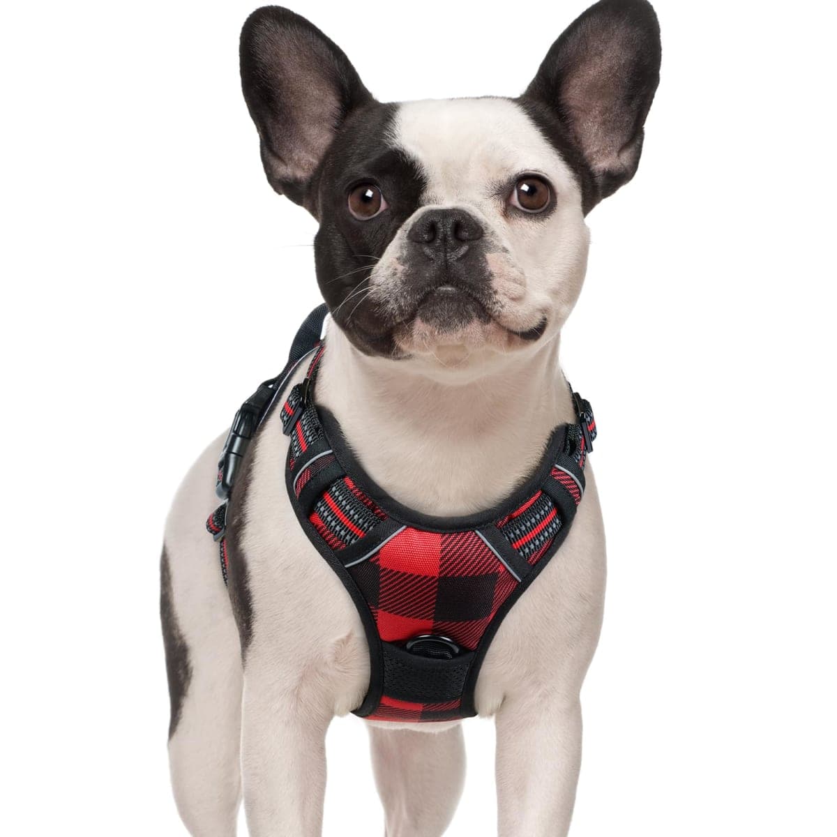 rabbitgoo Dog Harness, No-Pull Pet Harness with 2 Leash Clips, Adjustable Soft Padded Vest, Reflective No-Choke Pet Oxford Vest with Easy Control Handle for Small Dogs, Red Plaid, S — image 1