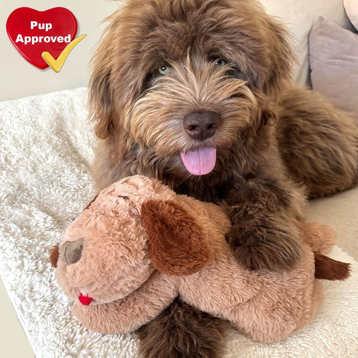 iHeartDogs - New | Dog Supplies thumbnail 5