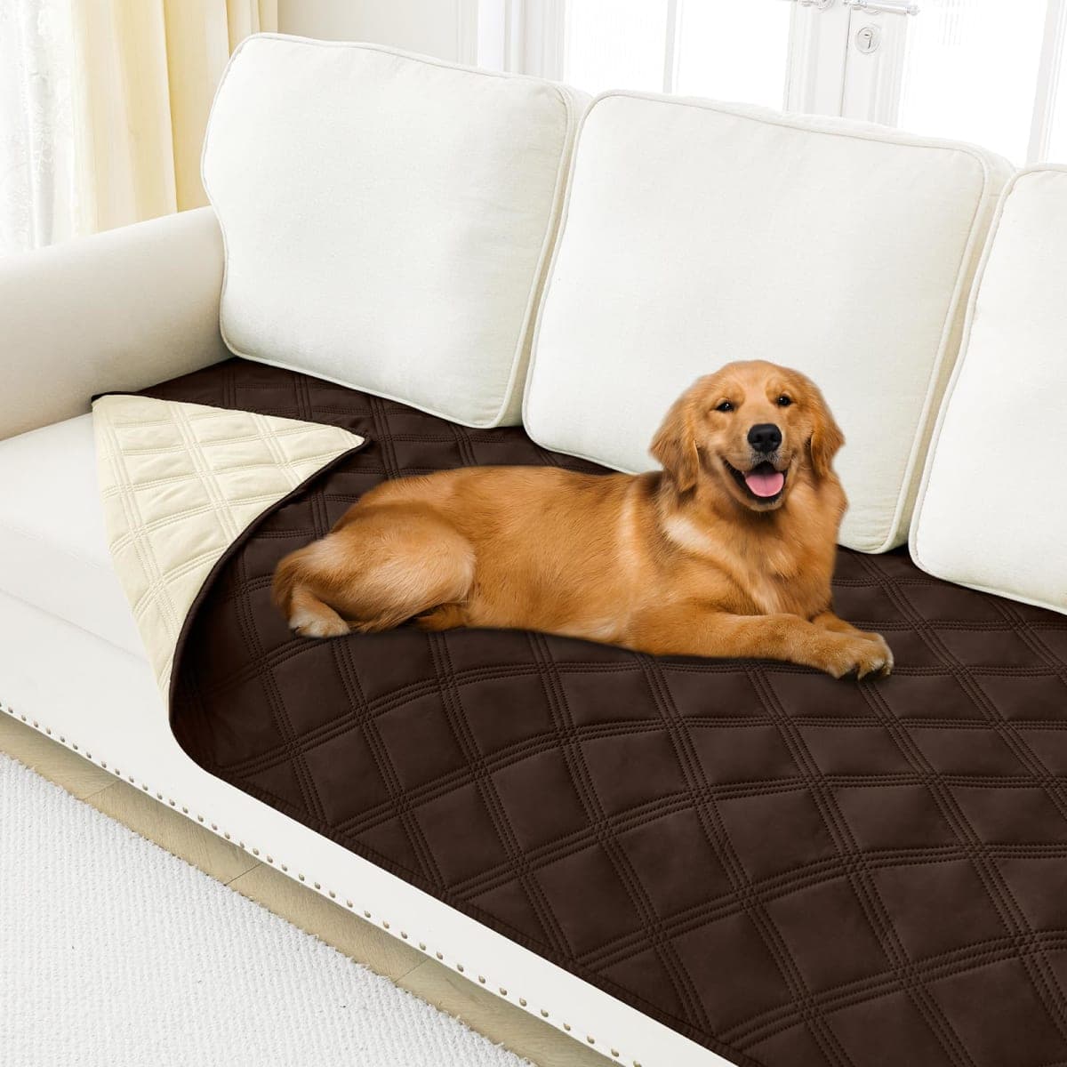 smiry - Inspected | Dog Supplies