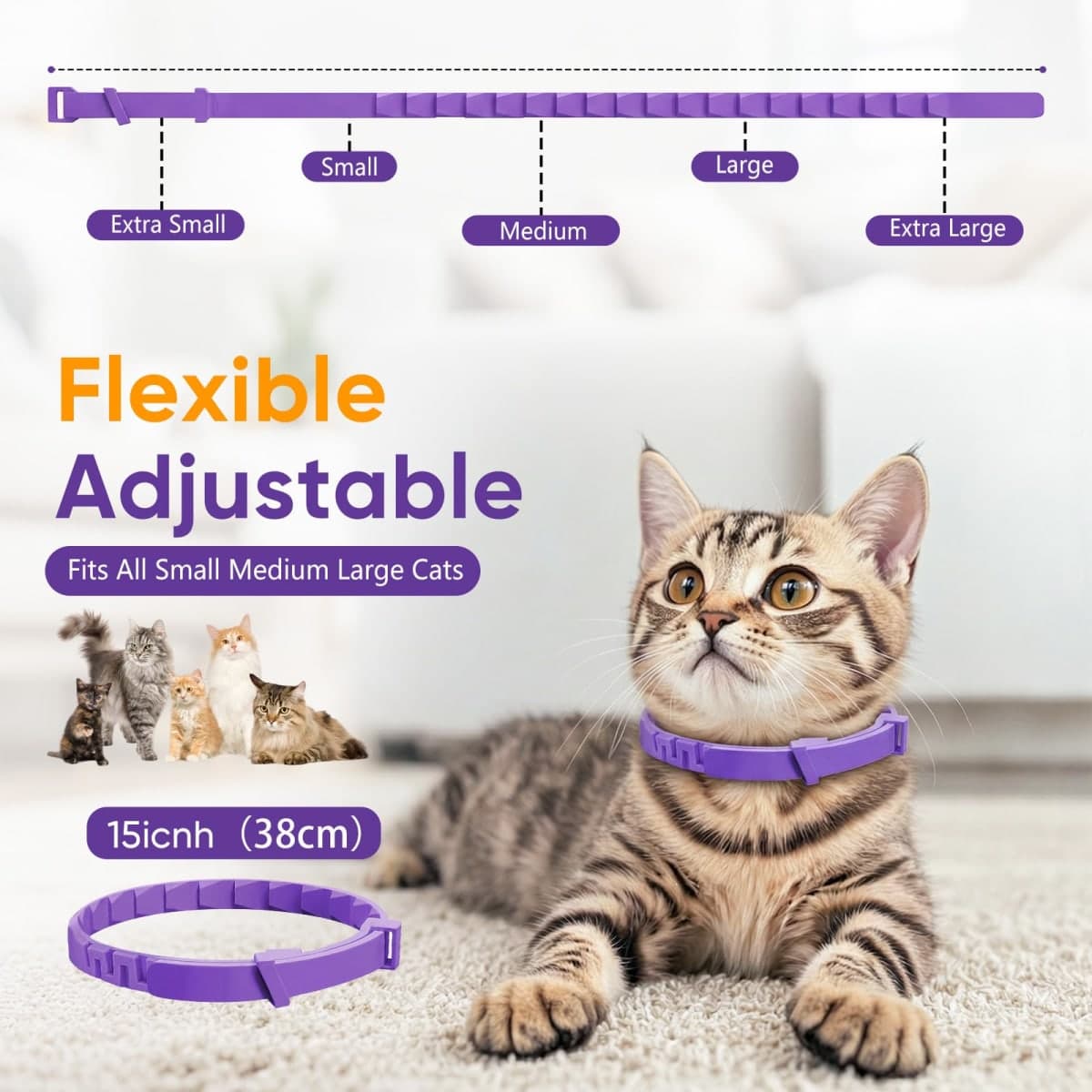 Ghilane - New - Sealed | Cat Supplies thumbnail 5