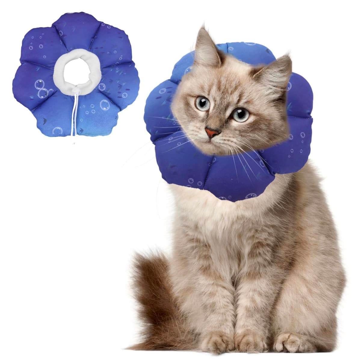 QIYADIN - Inspected | Cat Supplies
